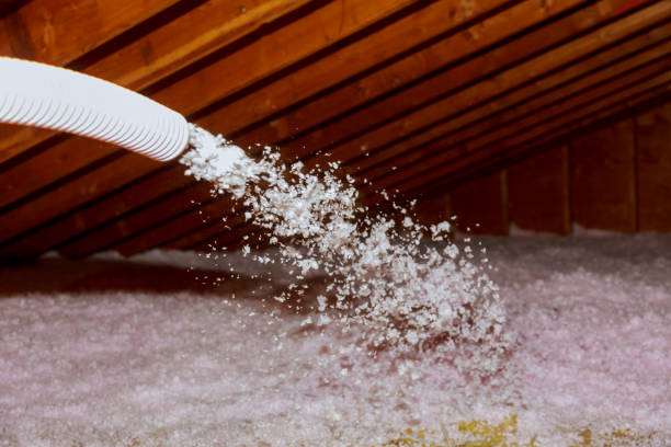 Best Geographic-Specific Insulation Services in Greenville, FL
