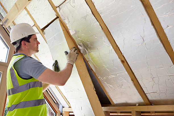 Best Residential Insulation in Greenville, FL
