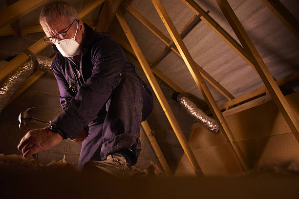 Best Insulation Maintenance and Repair in Greenville, FL